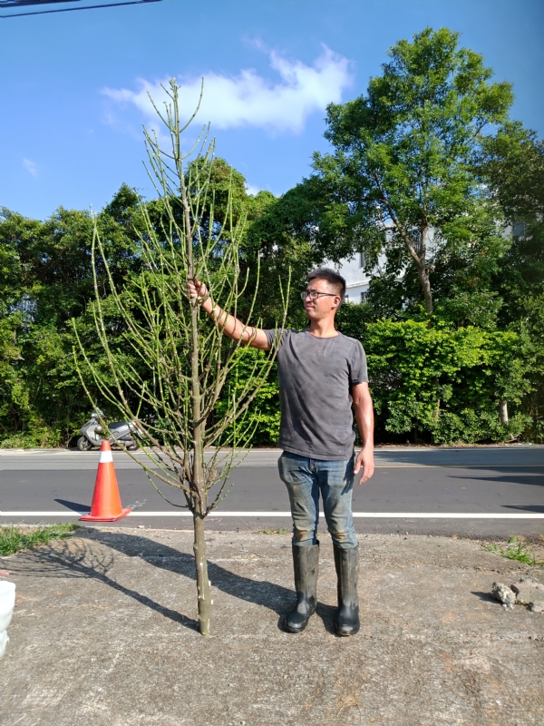 jeff的第二张照片--建瓯相亲网